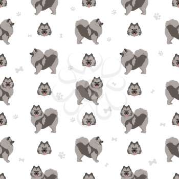 German spitz, Wolfspitz seamless pattern. Different poses, coat colors set.  Vector illustration