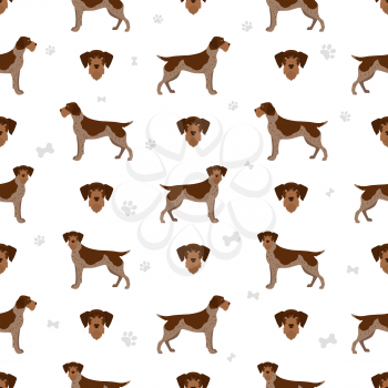 German wirehaired pointer seamless pattern. Different poses, coat colors set.  Vector illustration