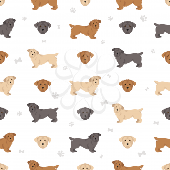 Glen of Imaal terrier seamless pattern. Different poses, coat colors set.  Vector illustration