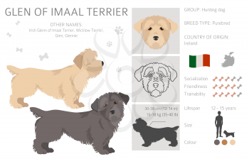 Glen of Imaal terrier clipart. Different poses, coat colors set.  Vector illustration