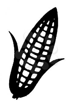 Royalty Free Clipart Image of a Corncob
