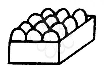 Royalty Free Clipart Image of Eggs in a Carton