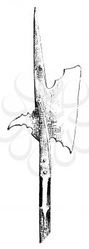 Royalty Free Clipart Image of a Halberd Pole Arm Weapon 