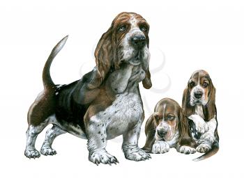 Royalty Free Clipart Image of Mother and Baby Basset Hounds. 