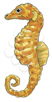 Royalty Free Clipart Image of a Seahorse 