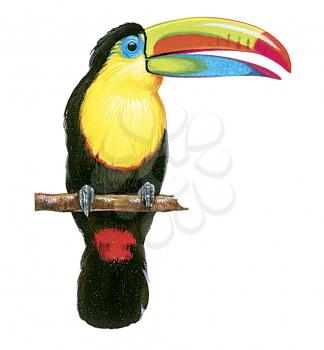 Royalty Free Clipart Image of a Toucan Bird 
