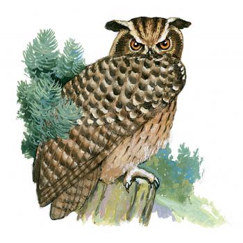Royalty Free Clipart Image of a Great Horned Owl 