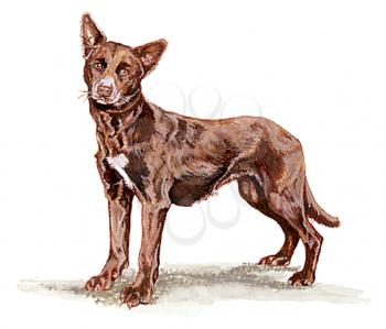 Royalty Free Clipart Image of a Dog 