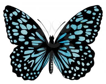 Royalty Free Clipart Image of a Blue Butterfly 