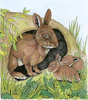 Royalty Free Clipart Image of a wild Hare and her Babies 