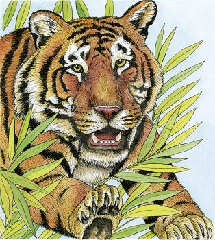 Royalty Free Clipart Image of a Pouncing Tiger