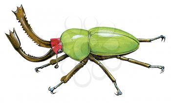 Royalty Free Clipart Image of a Green Stag Beetle