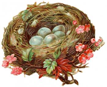 Royalty Free Clipart Image of a Bird's Nest With Flowers