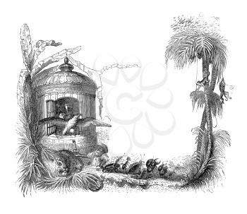 Royalty Free Clipart Image of a Bird Cage in a Tropical Setting