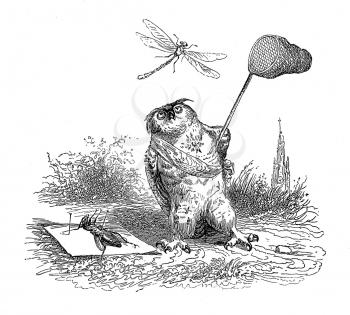 Royalty Free Clipart Image of an Owl Catching Bugs