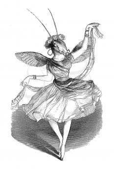 Royalty Free Clipart Image of a Ballerina Bug