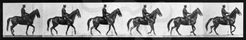Royalty Free Photo of a Repeating Pattern of Horse and Rider