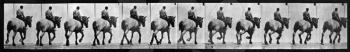 Royalty Free Photo of a Repeating Pattern of Horse and Rider from the Back