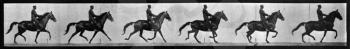 Royalty Free Photo of a Horse and Rider Repeating Pattern
