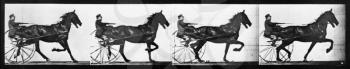 Royalty Free Photo of a Cart and Horse Pattern