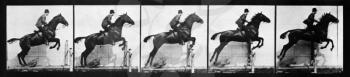 Royalty Free Photo of a Jumping Horse and Rider