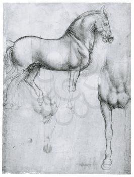 Royalty Free Clipart Image of a Da Vinci's Horse