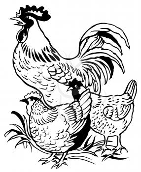 Royalty Free Clipart Image of a Rooster and Chickens