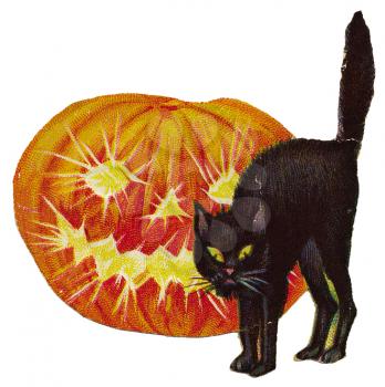 Royalty Free Clipart Image of a Black Cat and Jack-o-Lantern