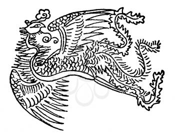 Chinese Illustration