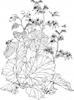 Flowers Illustration