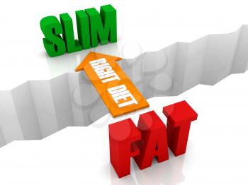 Right diet is the bridge from FAT to SLIM. Concept 3D illustration.