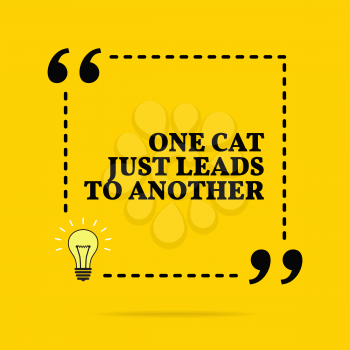 Inspirational motivational quote. One cat just leads to another. Black text over yellow background 