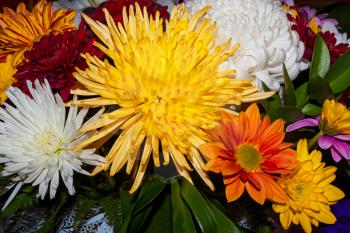 Bouquet of different bright beautiful autumn flowers