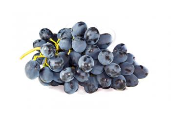 Bunch of ripe blaks grapes on a light background