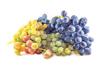 Bunches of ripe grapes on a light background