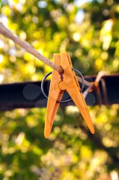 One plastic clothes peg on clothesline rope