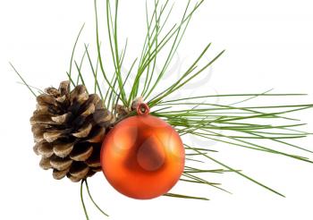 Pine cone ball and pine branch isolated on white background