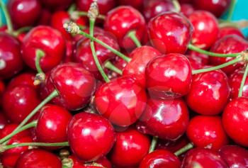 Many ripe red juicy sweet cherry close up
