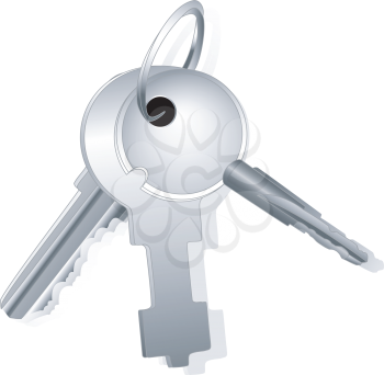 Sheaf of different keys on a special ring with a shade on a white background