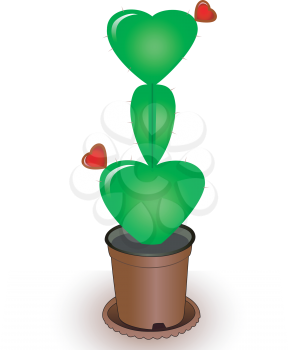Cactus in the form of heart with florets hearts