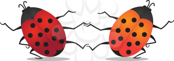 Illustration of two dancing beetles on white background