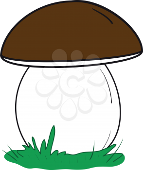 Illustration of large white mushroom on a white background
