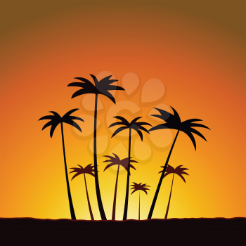 Illustration of the summer sunset with palm trees