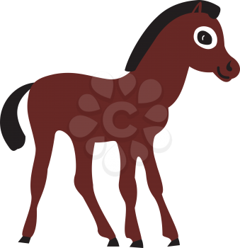 Illustration of cartoon foal on a white background