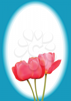 Illustration of three tulips on a blue background with an oval
