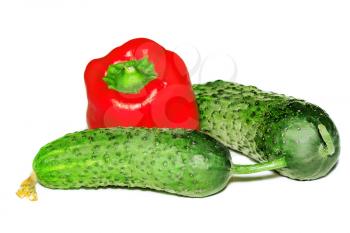Two cucumber and pepper on white background