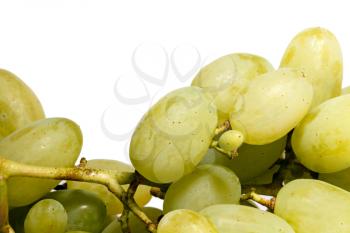 Bunch of white grapes on a white background