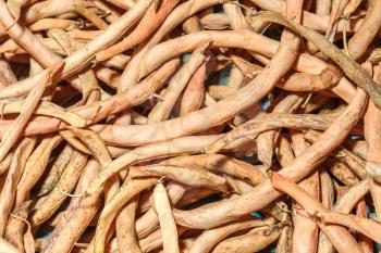 Background of dry white beans pods close up