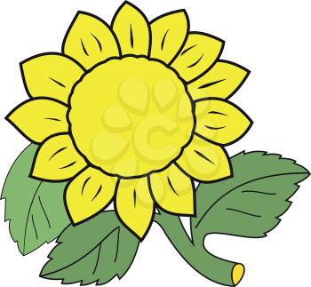 Illustration of a large yellow sunflower isolated on white background