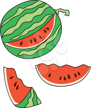 Illustration of a ripe watermelon with sliced slices on a white background